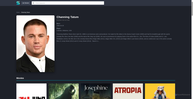 Security scan screenshot of https://cinflix.net/cast/channing-tatum
