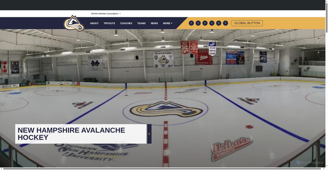Security scan screenshot of https://www.nhavalanche.com/