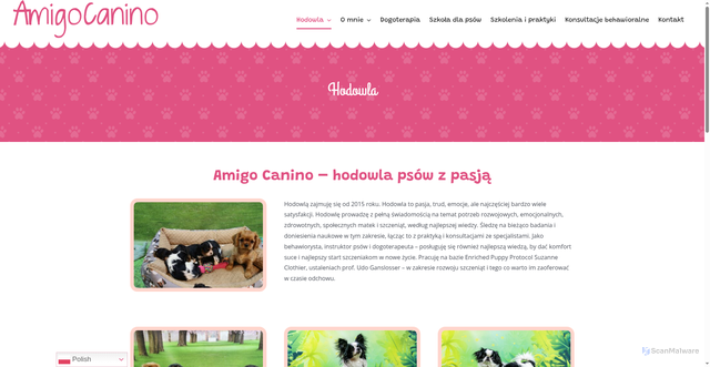 Security scan screenshot of https://amigo-canino.pl