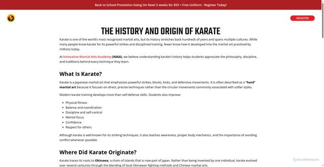 Security scan screenshot of https://www.triangledojo.com/blog/what-is-karate/