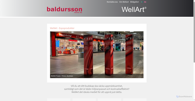 Security scan screenshot of https://baldursson.se