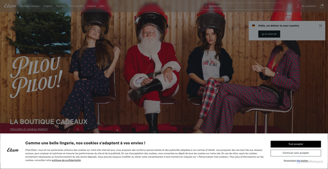 Security scan screenshot of https://etam.com