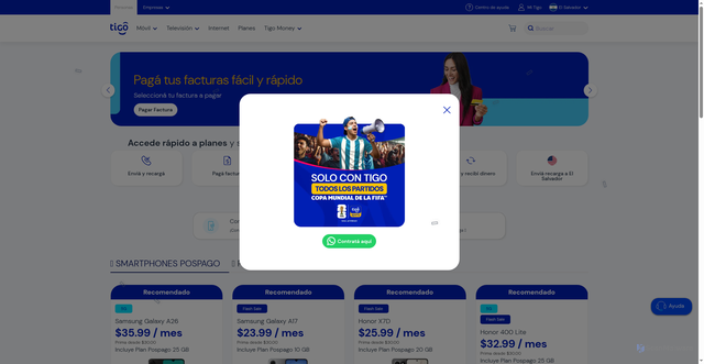 Security scan screenshot of https://tigovspom.help/