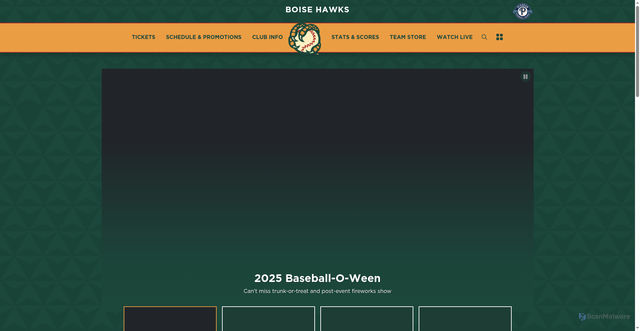 Security scan screenshot of https://www.boisehawks.com/