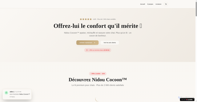 Security scan screenshot of https://nidouchat.fr/