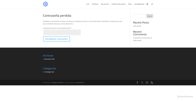 Security scan screenshot of https://sergioojeda.com/my-account/lost-password/