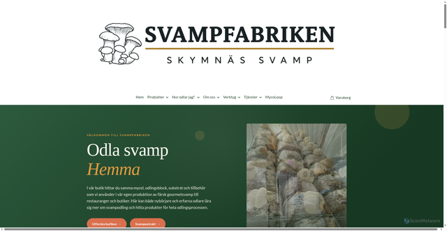 Security scan screenshot of https://skymnassvamp.se