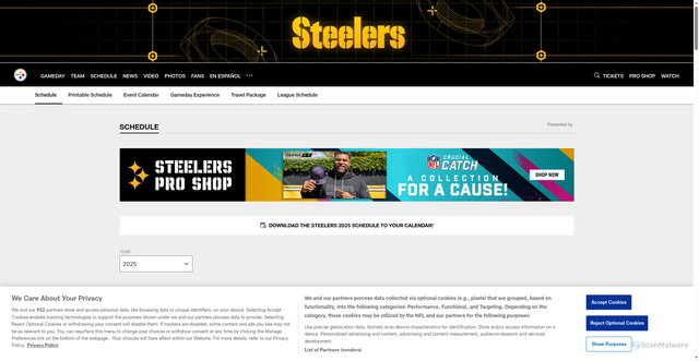 Security scan screenshot of https://www.steelers.com/schedule/