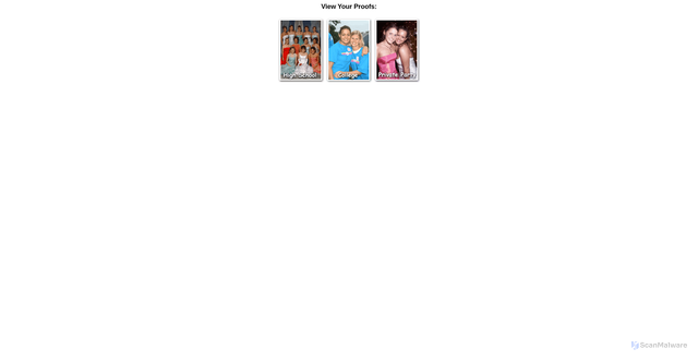 Security scan screenshot of https://orders.flashphotography.com