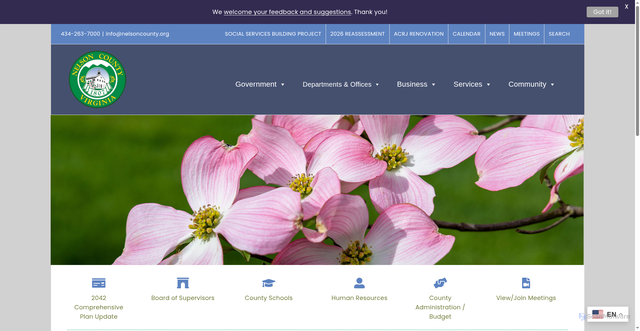 Security scan screenshot of https://nelsoncounty-va.gov/