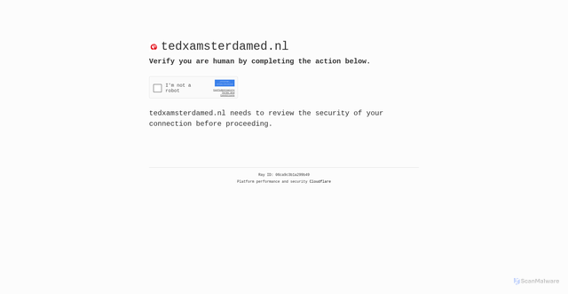 Security scan screenshot of https://tedxamsterdamed.nl