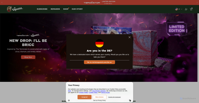 Security scan screenshot of https://www.drsquatch.com