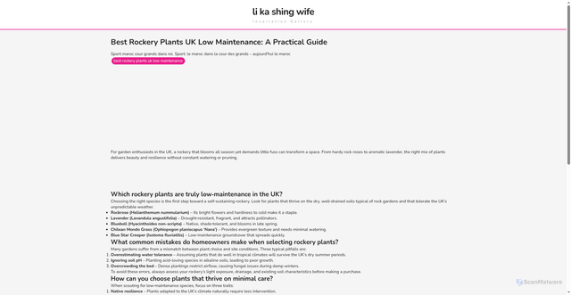 Security scan screenshot of https://medicalciprivicblog-12f2d05127-dps18dhxeua1.edgeone.dev/best-rockery-plants-uk-low-maintenance.html