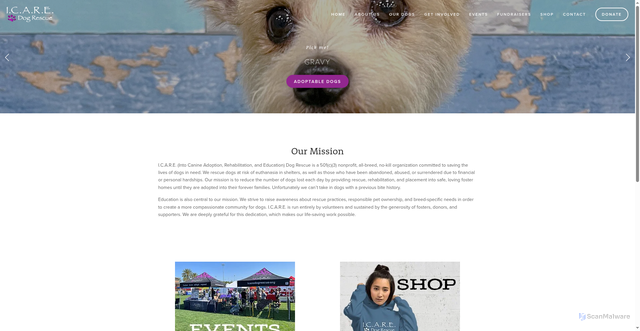 Security scan screenshot of https://www.icaredogrescue.org/