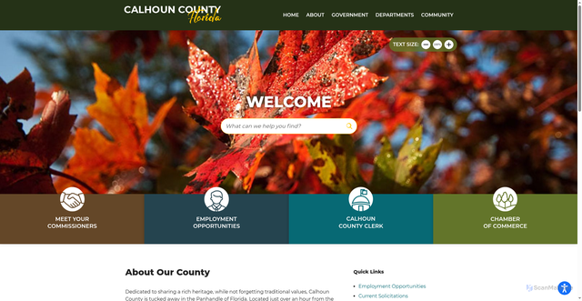 Security scan screenshot of https://www.calhouncountyfl.gov/