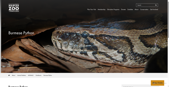 Security scan screenshot of https://www.napleszoo.org/burmese-python