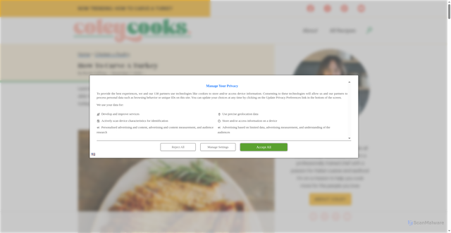 Security scan screenshot of https://coleycooks.com/how-to-carve-a-turkey/