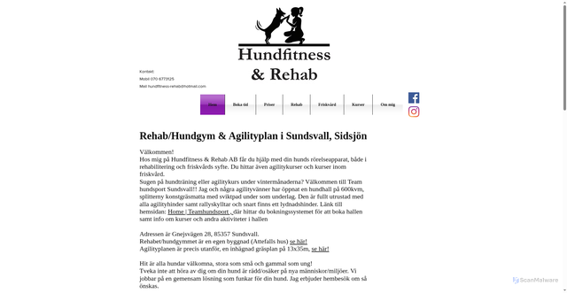 Security scan screenshot of https://hundfitness-rehab.se