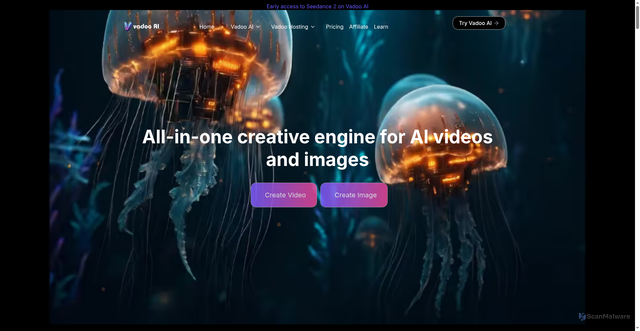 Security scan screenshot of https://vadoo.tv