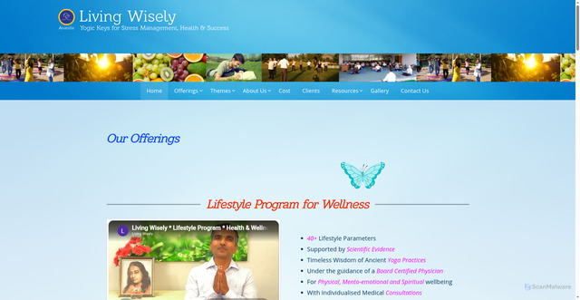 Security scan screenshot of http://www.livingwisely.in/