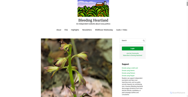 Security scan screenshot of https://www.bleedingheartland.com/2026/06/10/iowa-wildflower-wednesday-putty-root-orchid/