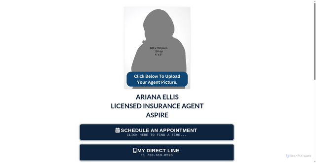 Security scan screenshot of https://aellis.my-agent-appt.com/digital-business-card