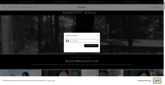 Security scan screenshot of https://www.ninepine.se/
