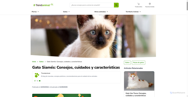 Security scan screenshot of https://www.tiendanimal.es/articulos/gato-siames-curiosidades-y-caracteristicas/?srsltid=AU7gw4XUV9lBngz5bL2kORCWlvLqJx-aOICjpOsMftZy7zqsMFeyPkm5