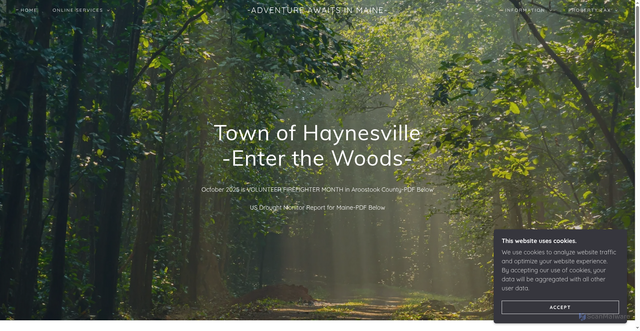 Security scan screenshot of https://haynesvilleme.gov/