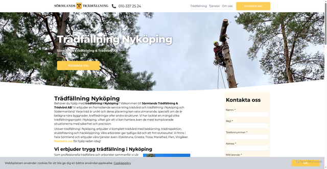Security scan screenshot of https://tradfallningnykoping.se