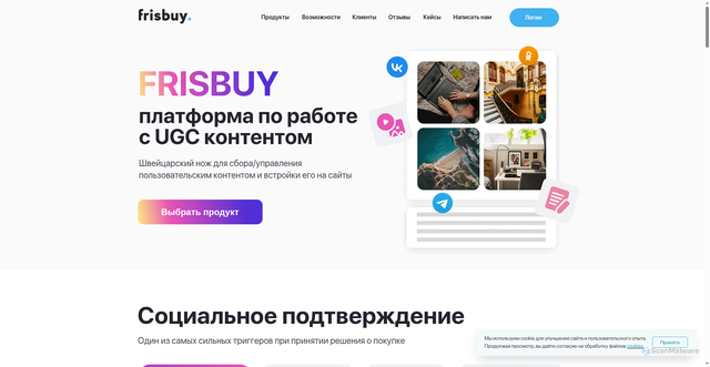 Security scan screenshot of https://frisbuy.ru