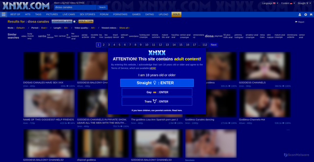 Security scan screenshot of https://www.xnxx.com/search/diosa+canales