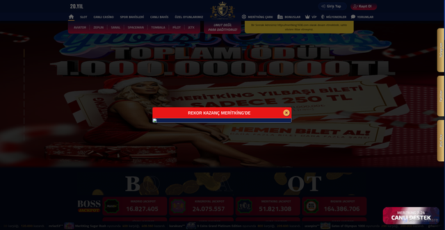 Security scan screenshot of https://meeitking1699.com/pilot