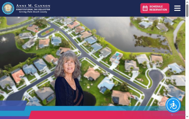 Security scan screenshot of https://www.pbctax.gov/