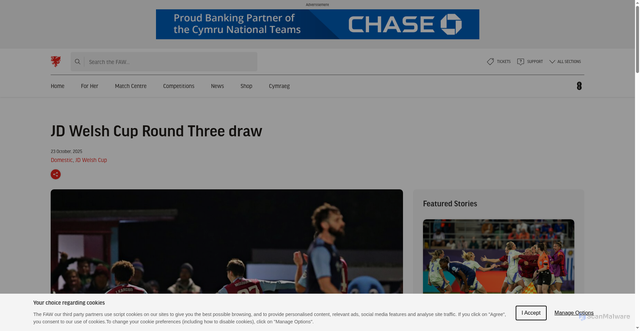 Security scan screenshot of https://faw.cymru/news/jd-welsh-cup-round-3-draw-2/