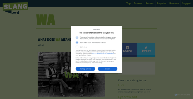 Security scan screenshot of https://www.slang.org/wa-meaning-definition/