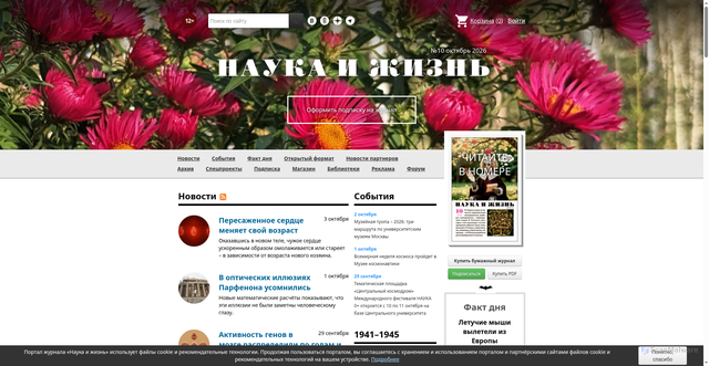 Security scan screenshot of https://www.nkj.ru