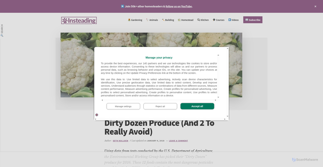 Security scan screenshot of https://insteading.com/blog/dirty-dozen-produce/