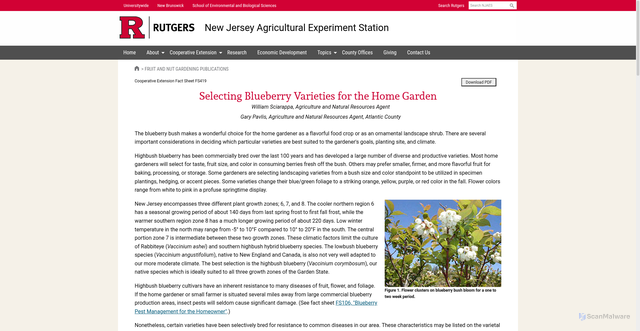 Security scan screenshot of assets.rutgers.edu