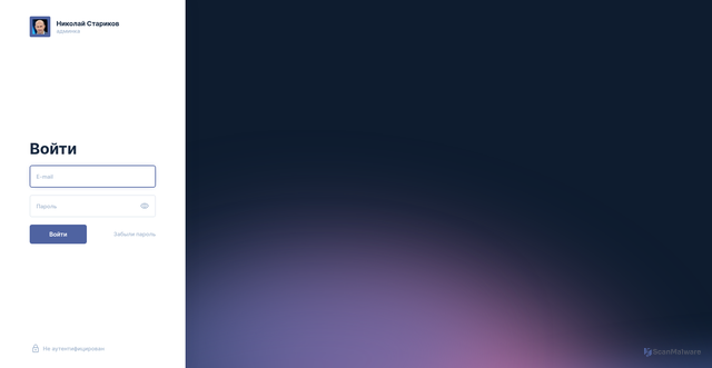 Security scan screenshot of https://api.nstarikov.ru
