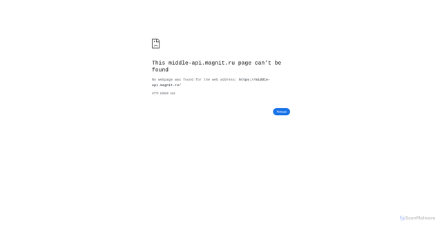 Security scan screenshot of https://middle-api.magnit.ru