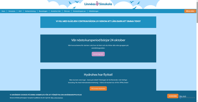 Security scan screenshot of https://linneassimskola.se