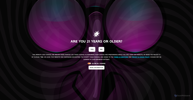 Security scan screenshot of https://www.magichat.net/