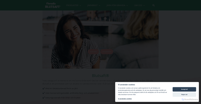 Security scan screenshot of https://blutsaft.se