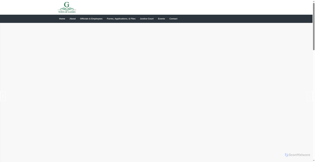 Security scan screenshot of https://townofgaines.gov/