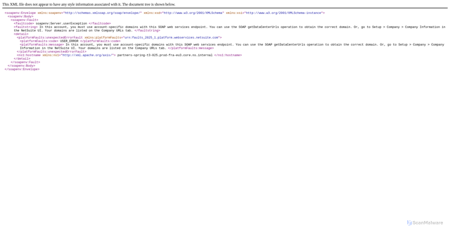 Security scan screenshot of https://webservices.netsuite.com