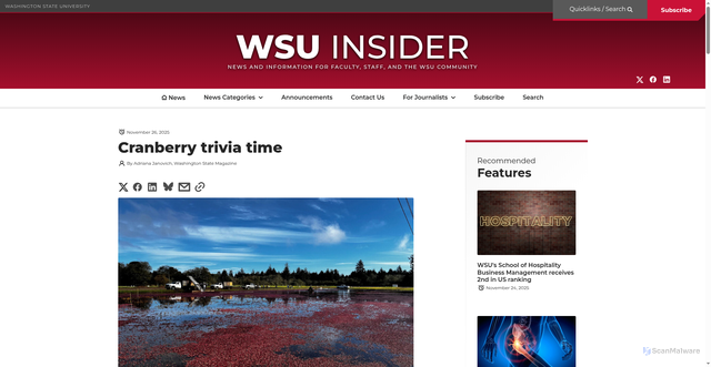 Security scan screenshot of https://news.wsu.edu/news/2025/11/26/cranberry-trivia-time/