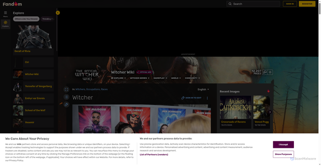 Security scan screenshot of https://witcher.fandom.com/wiki/Witcher