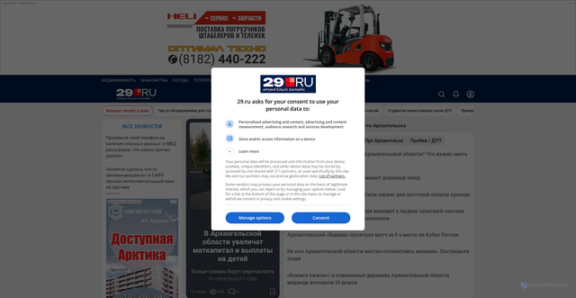 Security scan screenshot of https://29.ru