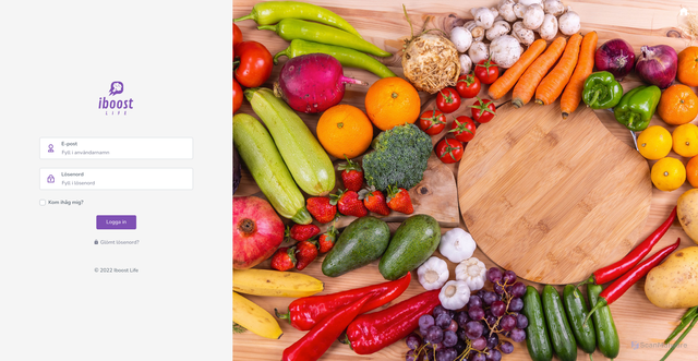 Security scan screenshot of https://core.iboost.life/